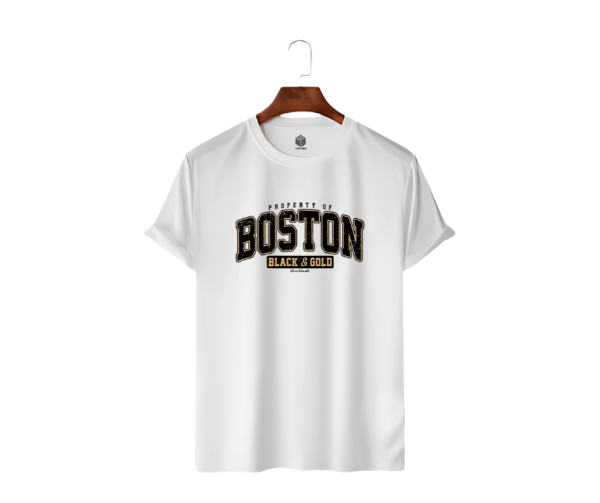 LeCube Men's Premium Quality T-Shirt- Boston